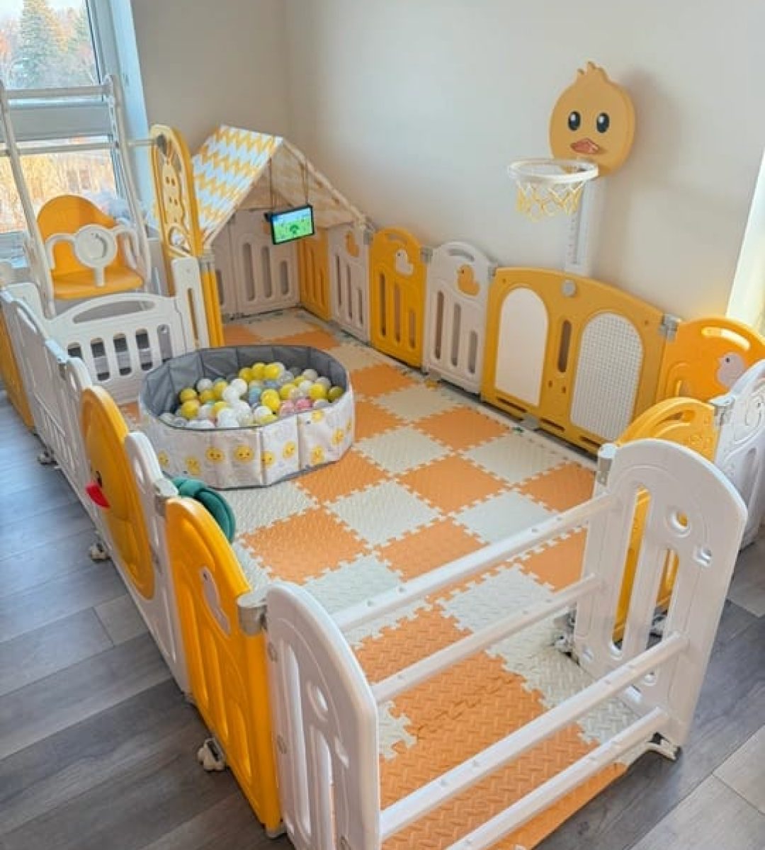 WhatsApp Image 2025-11-11 at 1.16.34 PM